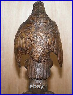 Rare 1880 American Eagle Black Forest Wood Carved Coat Hat & Umbrella Rack Stand